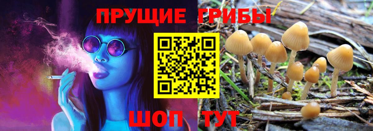Псилоцибиновые грибы прущие грибы  Вход с VPN  наркотики  Киселёвск 